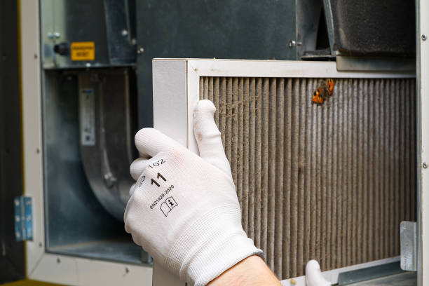Best Affordable Duct Cleaning Services  in Cleveland, AL
